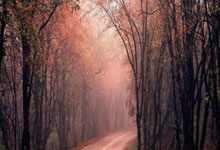 曼城今夏大换血,瓜帅或一口气拿下3大王牌悍将,两大引援目标浮现.