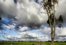 人人体育官网：[德甲]第4轮：美因茨VS斯图加特.