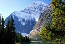 柯洁直播落泪鞠躬感谢大家支持:我会永不妥协.