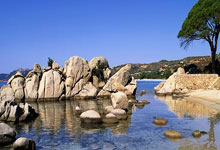 亚冬会:中国队获得女子冰球铜牌.